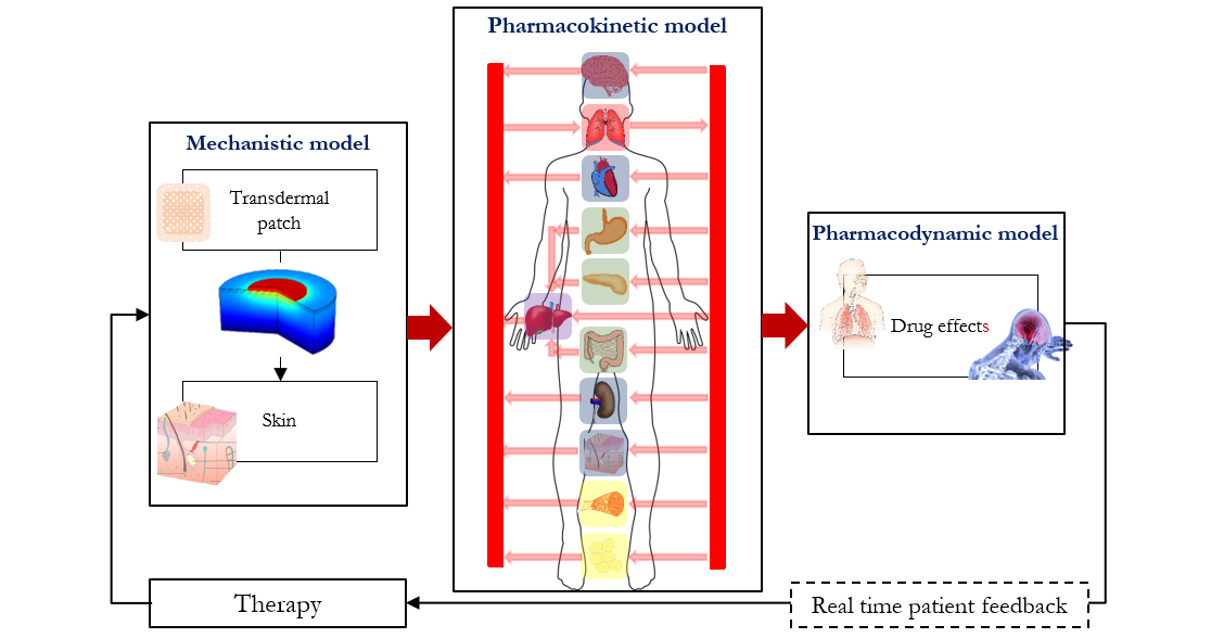 Predicting transdermal fentanyl delivery using mechanistic simulations for  tailored therapy