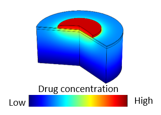 RP_Drug+Delivery.png