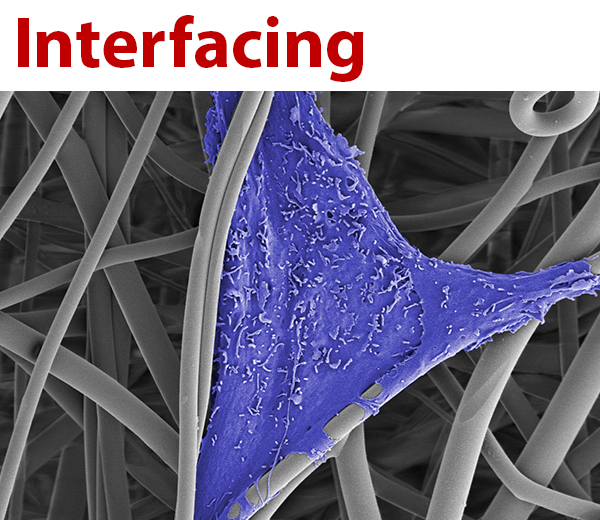 Kachel-Interfacing-T.jpg