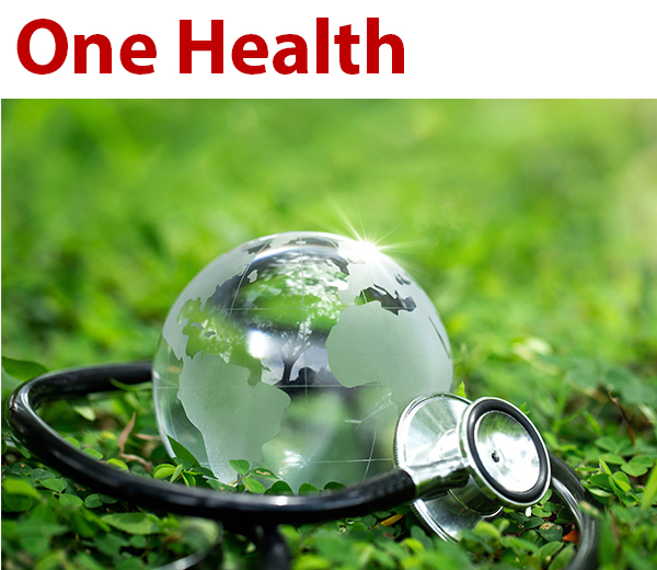 Kachel-One-Health-T.jpg