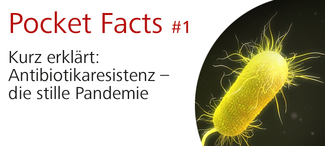 Pocket_Facts_02_DE_647x292px_Banner.jpg