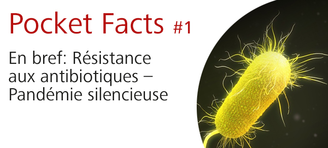 Pocket_Facts_02_EN_647x292px_Banner.jpg