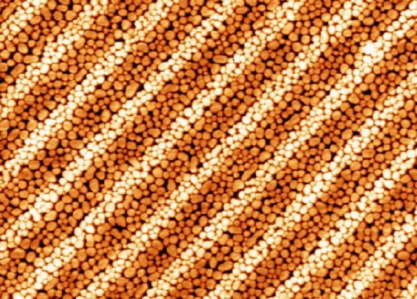 Functional+Polymers+KLP+209.jpg