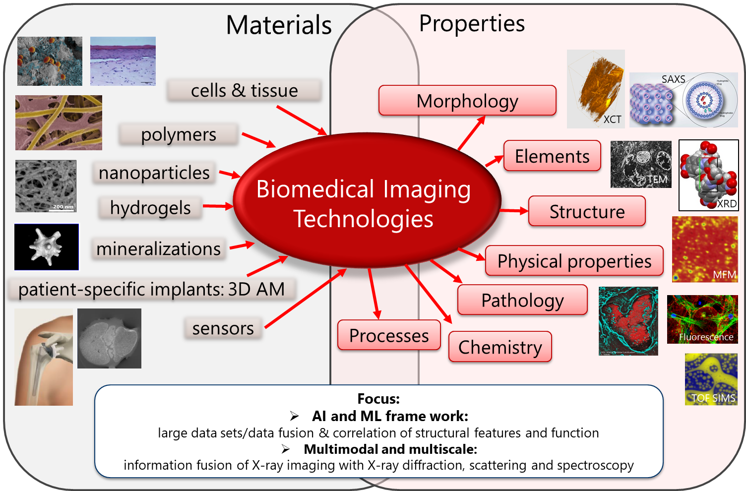 Biomedical+Imaging.png
