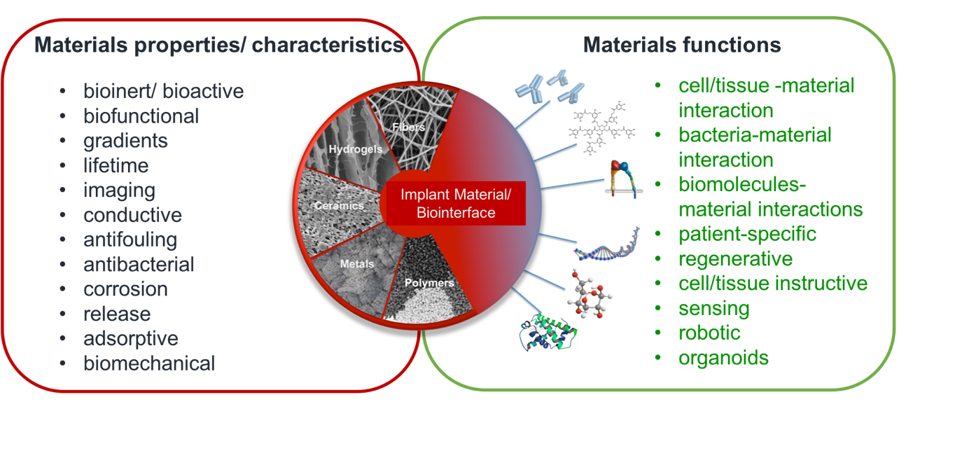 Implants+and+Biointerfaces.png