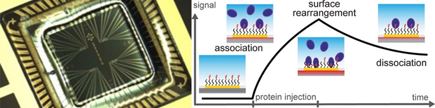 Picture_RFA_HP_sensors+polymer+optical+fibers.jpg