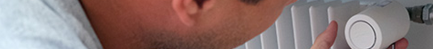2022-lang.png