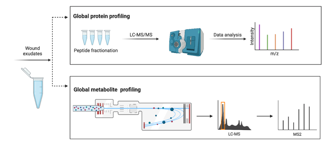 omics.png