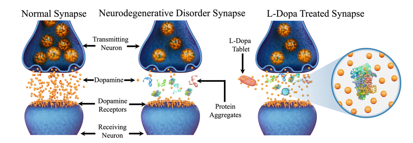 Figure5.png