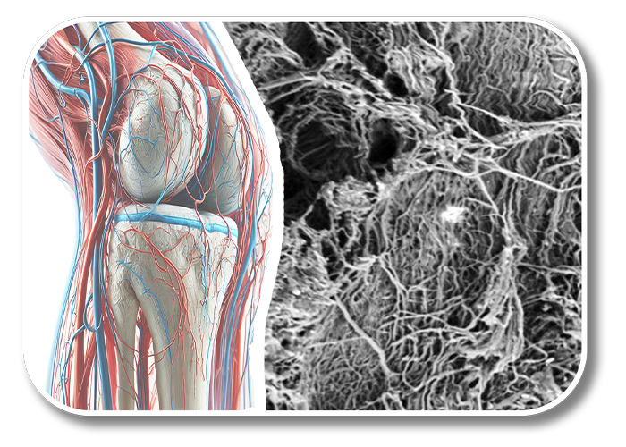 logo_2025-01-23_Microstructure-700x500.png