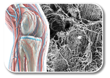 logo_2025-01-23_Microstructure-350x250.png