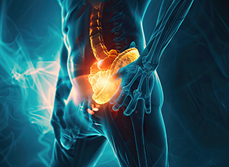 Herniennetz_WS.jpg