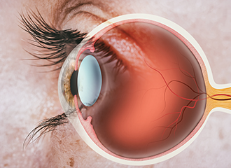 Nanovision_WS.png