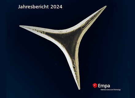 Jahresbericht-2024-ZF.jpg