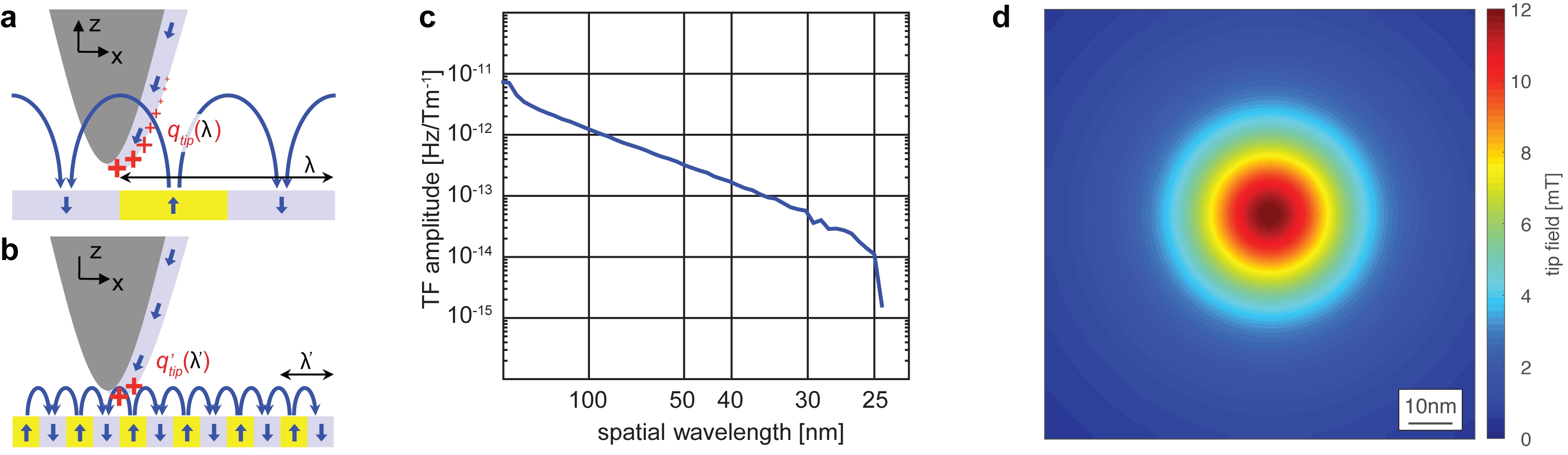 Quantitative+MFM.jpg