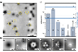 Atomistic+Posistioning.png