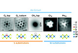 Engineering+and+probing+atomic+quantum+defects+in+2D+semiconductors_A+perspective.jpeg