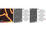 On-surface+activation+of+benzylic+C%E2%80%93H+bonds+for+the+synthesis+of+pentagon-fused+graphene+nanoribbons.jpg