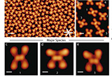 On-surface+synthesis+of+organocopper+metallacycles+through+activation+of+inner+diacetylene+moieties.jpg