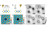 Spin-dependent+vibronic+response+of+a+carbon+radical+ion+in+two-dimensional+WS2.png