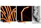 /documents/55905/19291218/Molecular+heterostructure+by+fusing+graphene+nanoribbons+of+different+lengths+through+a+pentagon+ring+junction/5c454725-f09a-4d17-a3c2-48013d7936d5?t=1655972189387