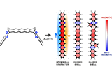 On-surface+synthesis+and+characterization+of+nitrogen-substituted+undecacenes.png