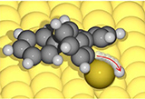 /documents/55905/19291218/The+Role+of+Metal+Adatoms+in+a+Surface-Assisted+Cyclodehydrogenation+Reaction+on+a+Gold+Surface/f45488a5-f4f0-4af8-909d-78c9dd57c846?t=1666077191183