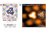 WHEN+A+MOLECULAR+MOTOR+DOES+THE+QUANTUM+LEAP.jpg