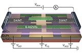 Contacting+individual+graphene+nanoribbons+using+carbon+nanotube+electrodes.jpg