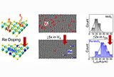Dilute+Rhenium+Doping+and+its+Impact+on+Defects+in+MoS2.jpg