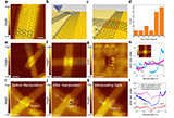 Twisted+bilayer+zigzag-graphene+nanoribbon+junctions+with+tunable+edge+states.jpg