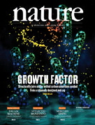 Controlled+synthesis+of+single-chirality+carbon+nanotubes.jpg