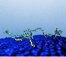 /documents/55905/444910/Adsorption+and+Friction+Behavior+of+Amphiphilic+Polymers+on+Hydrophobic+Surfaces/eae5b02a-b7c1-48b5-9806-c110cfa1ef88?t=1451983057180