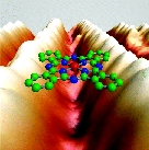 Molecular+Bridges.jpg