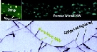 Soft+plasma+processing+of+organic+nanowires+a+route+for+the+fabrication+of+1D+organic+heterostructures+and+the+template+synthesis+of+inorganic+1D+nanostructures.jpg