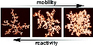 /documents/55905/447292/Two-Dimensional+Polymer+Formation+on+Surfaces+Insight+into+the+Roles+of+Precursor+Mobility+and+Reactivity/382ee90a-65dd-4799-ac1d-eeb1e1513c69?t=1452002474607