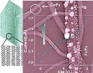 Connecting+Organic+Nanowires.jpg