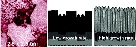 Growth+of+Crystalline+TiO2+by+Plasma+Enhanced+Chemical+Vapor+Deposition.jpg