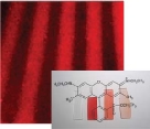 Luminescent+and+Optical+Properties+of+Nanocomposite+Thin+Films+Deposited+by+Remote+Plasma+Polymerization+of+Rhodamine+6G.jpg