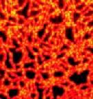 Molecular+imaging+of+polyimide+formation.jpg
