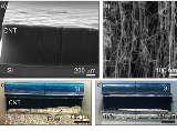 Active+vacuum+brazing+of+CNT+films+to+metal+substrates+for+superior+electron+field+emission+performance.jpg