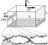 Scalar+model+for+frictional+precursors+dynamics.jpg