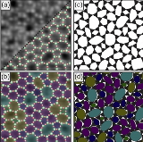 Building+block+analysis+of+2D+amorphous+networks+reveals+medium+range+correlation.jpg