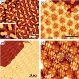 Optical+transition+energies+of+isolated+molecular+monomers+and+weakly+interacting+2D+aggregates.jpg