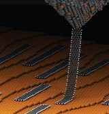 Superlubricity+of+graphene+nanoribbons+on+gold+surfaces.jpg