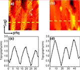 Arsenic-induced+faceted+lateral+nanoprisms.jpg