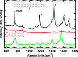 /documents/55905/6294507/On%E2%80%90surface+Synthesis+and+Characterization+of+Acene%E2%80%90based+Nanoribbons+Incorporating+Four%E2%80%90membered+Rings/1e84b947-0a2f-41d4-bd48-d829ab7e6227?t=1562233103307