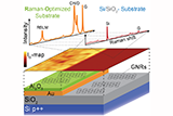 /documents/55905/6294507/Optimized+Substrates+and+Measurement+Approaches+for+Raman+Spectroscopy+of+Graphene+Nanoribbons/ad7145a7-9ebc-41ef-a43e-8a15763fae21?t=1573120214013