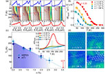 Phase+separation+in+the+vicinity.jpg