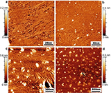 Surface-synthesized+graphene+nanoribbons.jpg